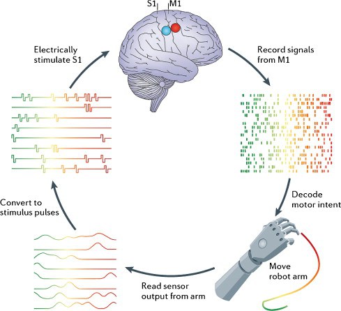 Brain–Computer Interface Technologies