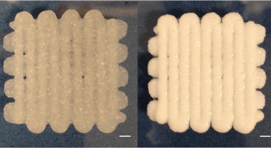 bioprinted-material