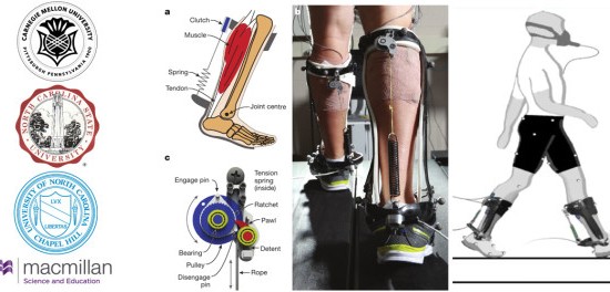 Passive Ankle Exoskeleton For Reducing Cost Of Walking
