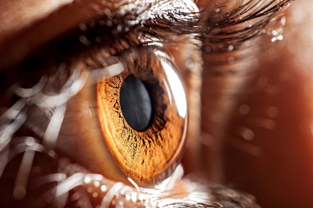 چشم مصنوعی که می‌تواند کاملا سامانه بینایی را دور بزند.