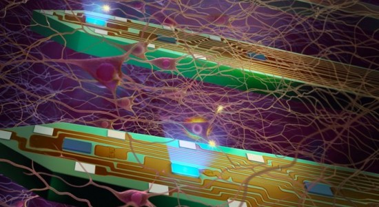 کاوشگر LED هم می‌تواند یک نرون منفرد را فعال نموده و هم پاسخ‌های متعاقب در همسایگی نرون را کشف کند.