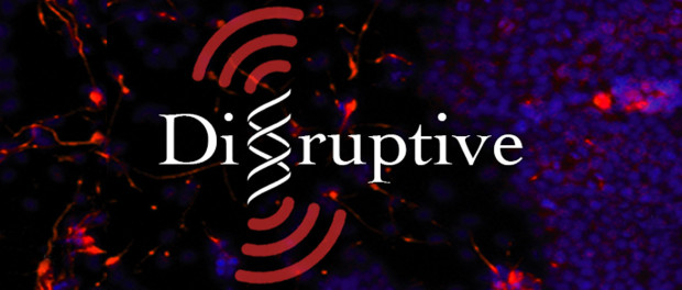 Disruptive-620x264