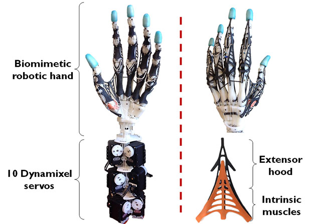 شگفت‌انگیزترین دست رباتیک شبه انسانی مقلد ساخته شده تا به حال