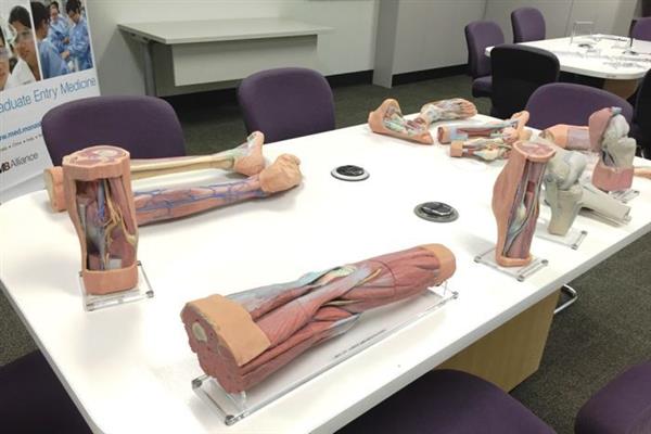 چاپ سه بعدی تجهیزات آناتومی برای آموزش پزشکی