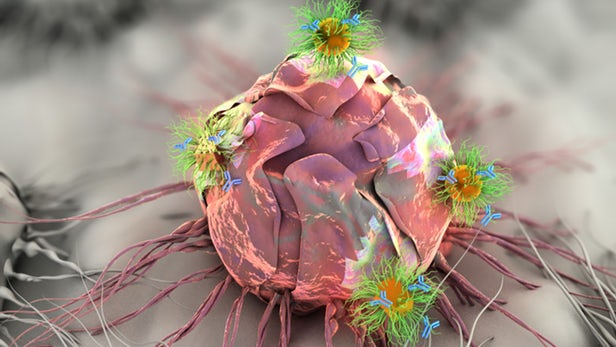 پچ ضد سرطان با رویکردی سه گانه برای حمله به مکان تومور 