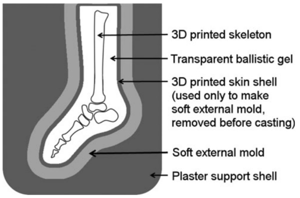 چاپ سه بعدی مدلهای استخوانی بدن برای آموزش جراحی
