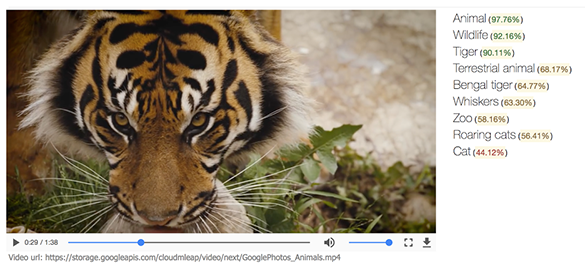 رابط برنامه نویسی جدید گوگل می‌تواند اجزای درون فیلم را شناسایی کند