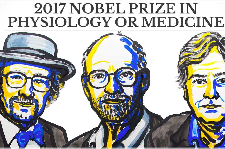 جایزه نوبل پزشکی سال 2017 به سه دانشمند آمریکایی تعلق گرفت