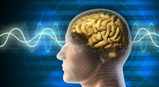 هوش مصنوعی سیگنال های مغزی را به سخن تبدیل میکند