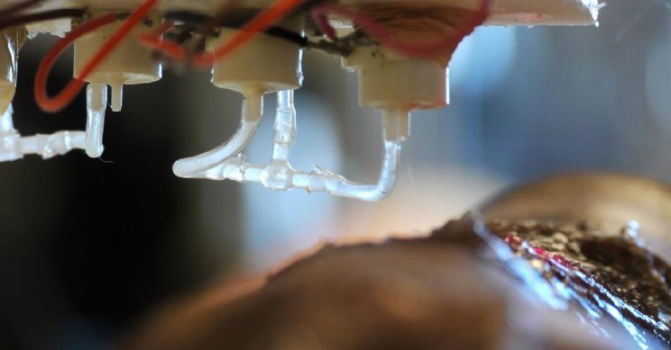 استفاده از چاپگر زیستی برای چاپ پوست و ترمیم سریع زخم