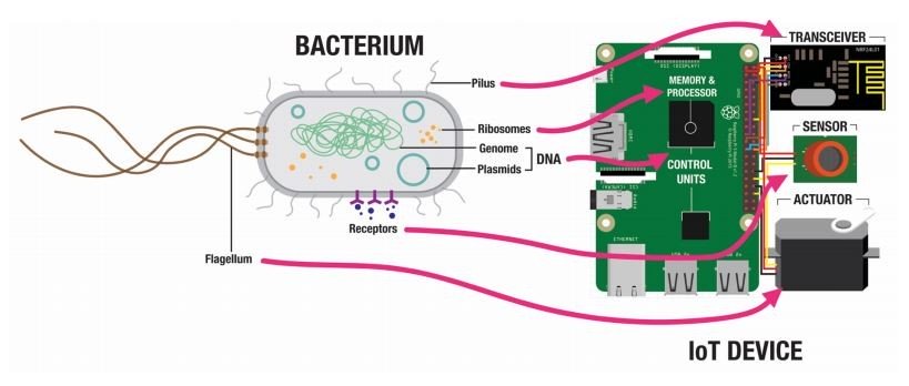 استفاده از باکتری در اینترنت اشیا