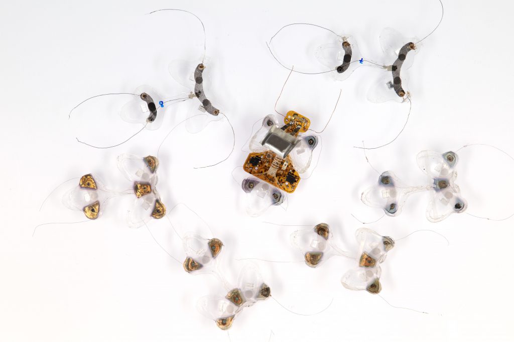 ساخت حشره رباتیک نرم با عضلات مصنوعی