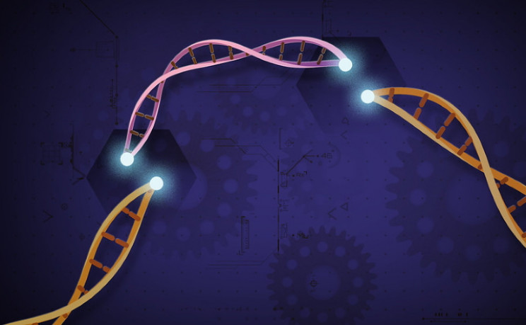  CRISPR–Cas9 منبع: NIH/Flickr 