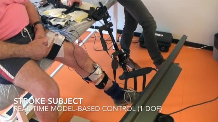 کنترل اختیاری اسکلت های بیرونی از طریق مدل سازی عصبی مکانیکی