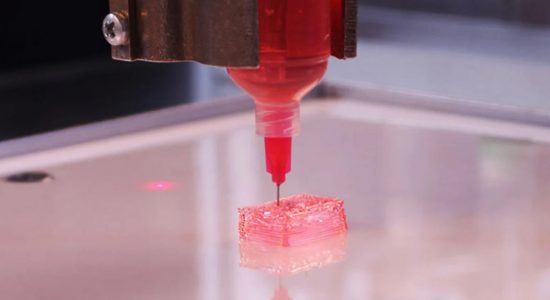 چاپ سه بعدی ارگان های بدن انسان