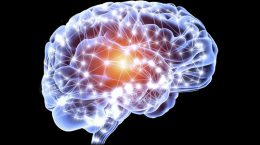 فناوری های عصبی با خواندن ذهن و آموزش مغز موجب بهبود عملکرد انسان میشوند