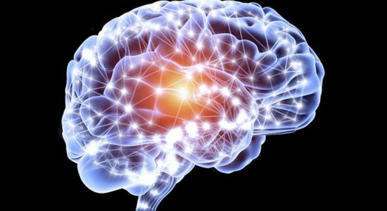 فناوری های عصبی با خواندن ذهن و آموزش مغز موجب بهبود عملکرد انسان میشوند
