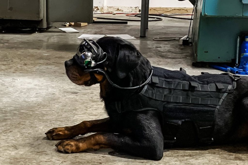 ارتش ایالات متحده از عینک واقعیت افزوده برای دستور دادن به سگ‌ها استفاده می‌کند