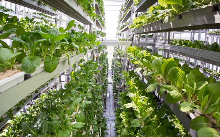 Sky Greens: نخستین مزرعه عمودی هیدرولیکی جهان