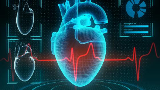 پزشکی محاسباتی و شبیه سازی قلب برای درمان آریتمی قلب در دانشگاه John Hopkins