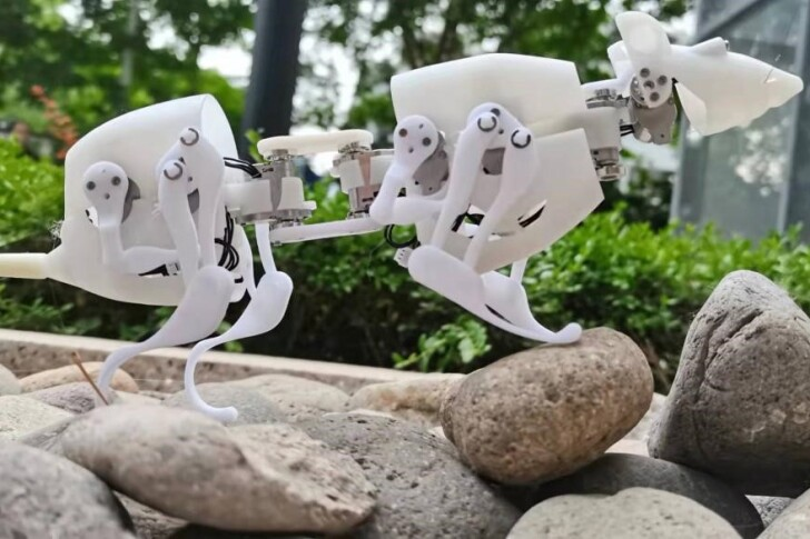 ساخت موش رباتیک برای جستجوی بازماندگان در زیر آوارها