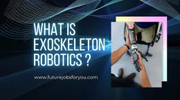 Exoskeleton