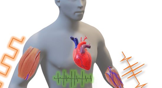 این ایمپلنت ها میتوانند آسیب نخاعی و بیماری پارکینسون را درمان کنند