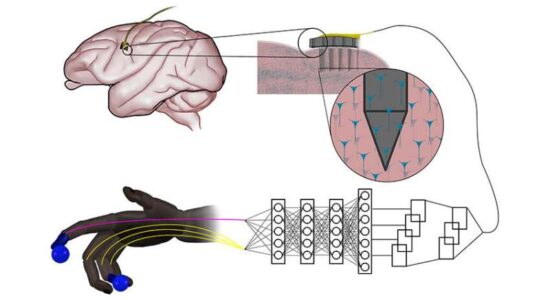 رابط مغز و ماشین