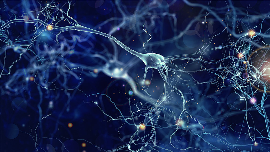 سلول های عصبی با rTMS دوباره فعال می‌شود