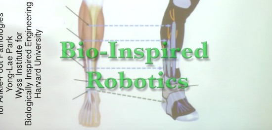 نمونه‌ای از رباتیک الهام گرفته از طبیعت: دستگاه ارتز منعطف فعال برای آسیب‌های مچ پا، Wyss Institute، 2012