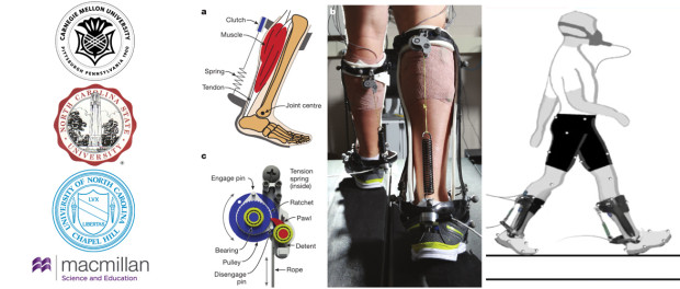 Passive Ankle Exoskeleton For Reducing Cost Of Walking