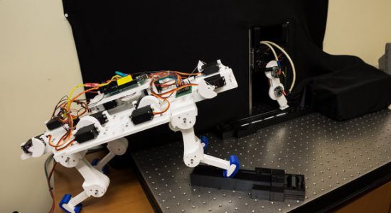 این پای رباتیک خود می‌تواند راه رفتن را بیاموزد