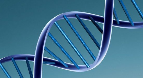 دستکاری رشته DNA می‌تواند راهکاری برای درمان دردهای لاعلاج باشد