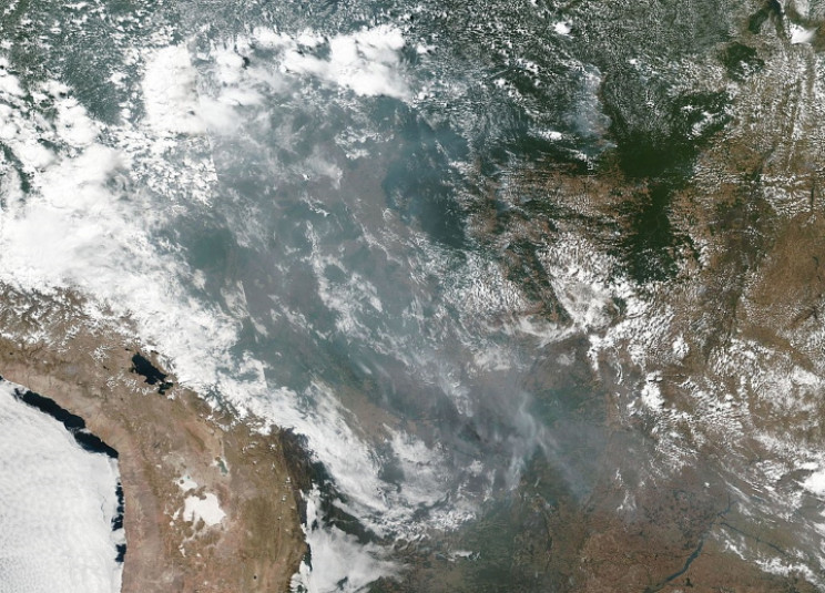 تصویر ماهواره ای از جنگل‌های آمازون، منبع:  NASA/Wikimedia Commons 
