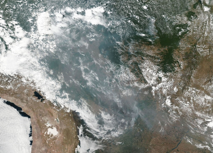 تصویر ماهواره ای از جنگلهای آمازون، منبع: NASA/Wikimedia Commons