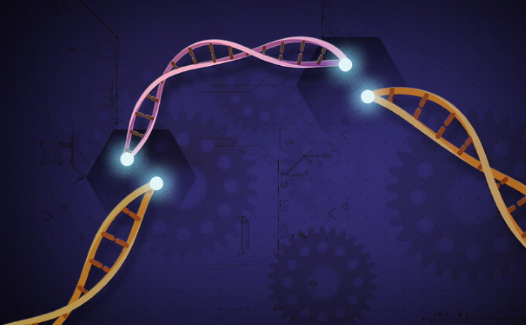 CRISPR–Cas9 منبع: NIH/Flickr
