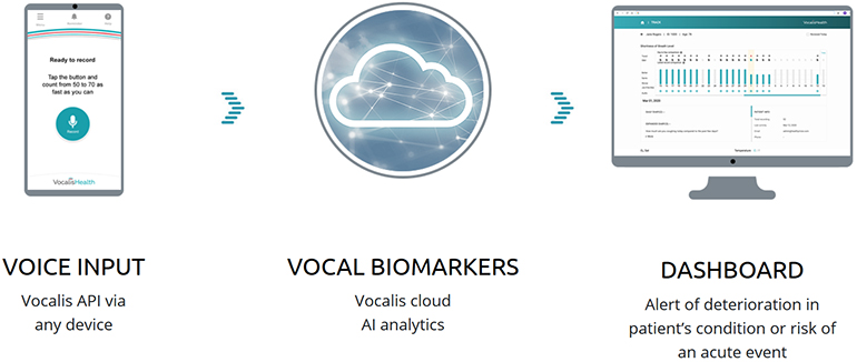 Vocalis Health: تشخیص بیماران پرخطر قلبی عروقی با پردازش سیگنال های صوتی بیماران