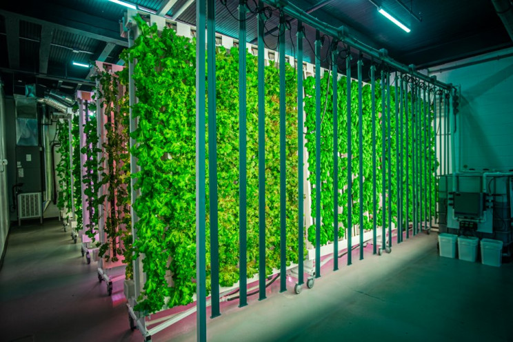 ZipGrow: کشاورزی عمودی برای کشاورز مدرن