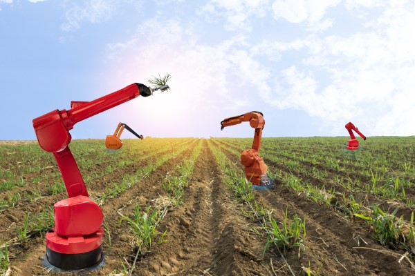 کشاورزی رباتیک