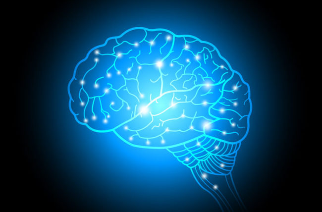 neuroplasticity یا خاصیت نوروپلاستیسیته در مغز